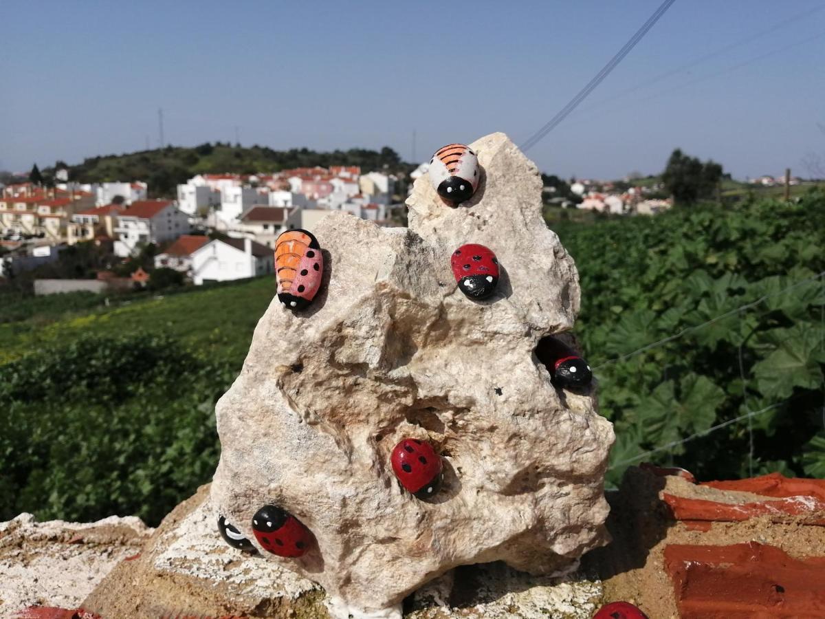 Varandas Da Serra II Vila Franca de Xira Dış mekan fotoğraf